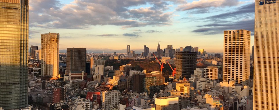 View, Capitol Hotel Tokyu
