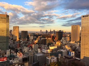 View, Capitol Hotel Tokyu
