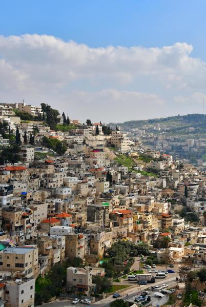 View of the Jerusalem Hills from the City of David